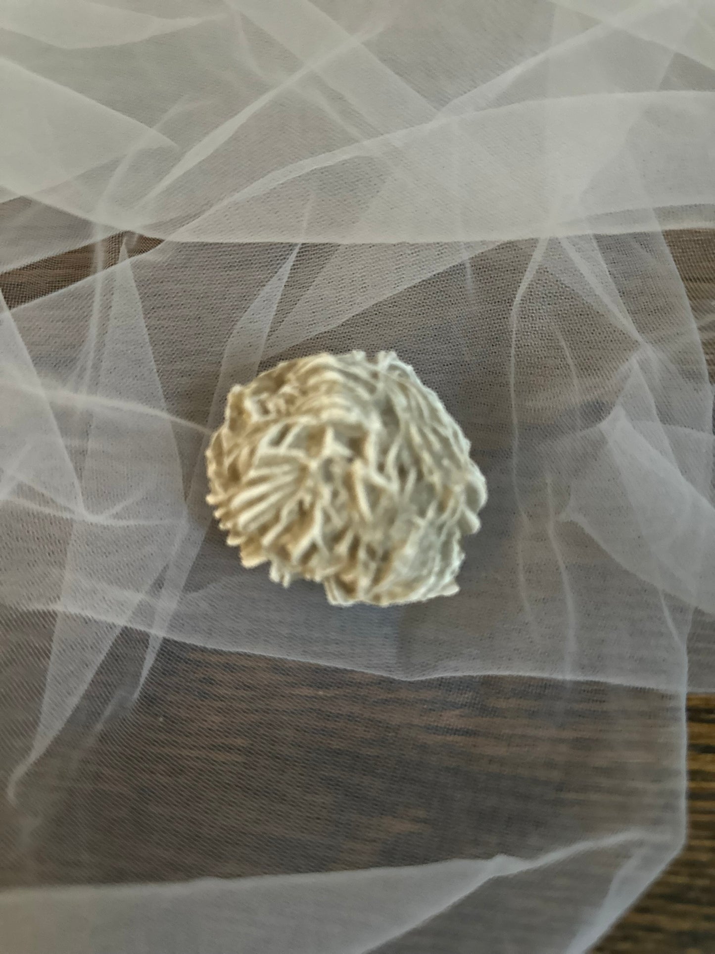 Desert Rose-2 AVAILABLE