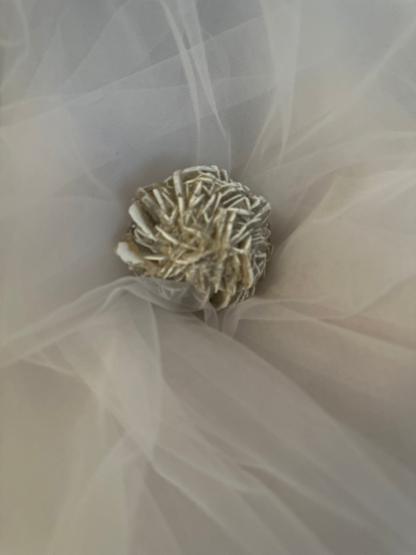 Desert Rose-2 AVAILABLE