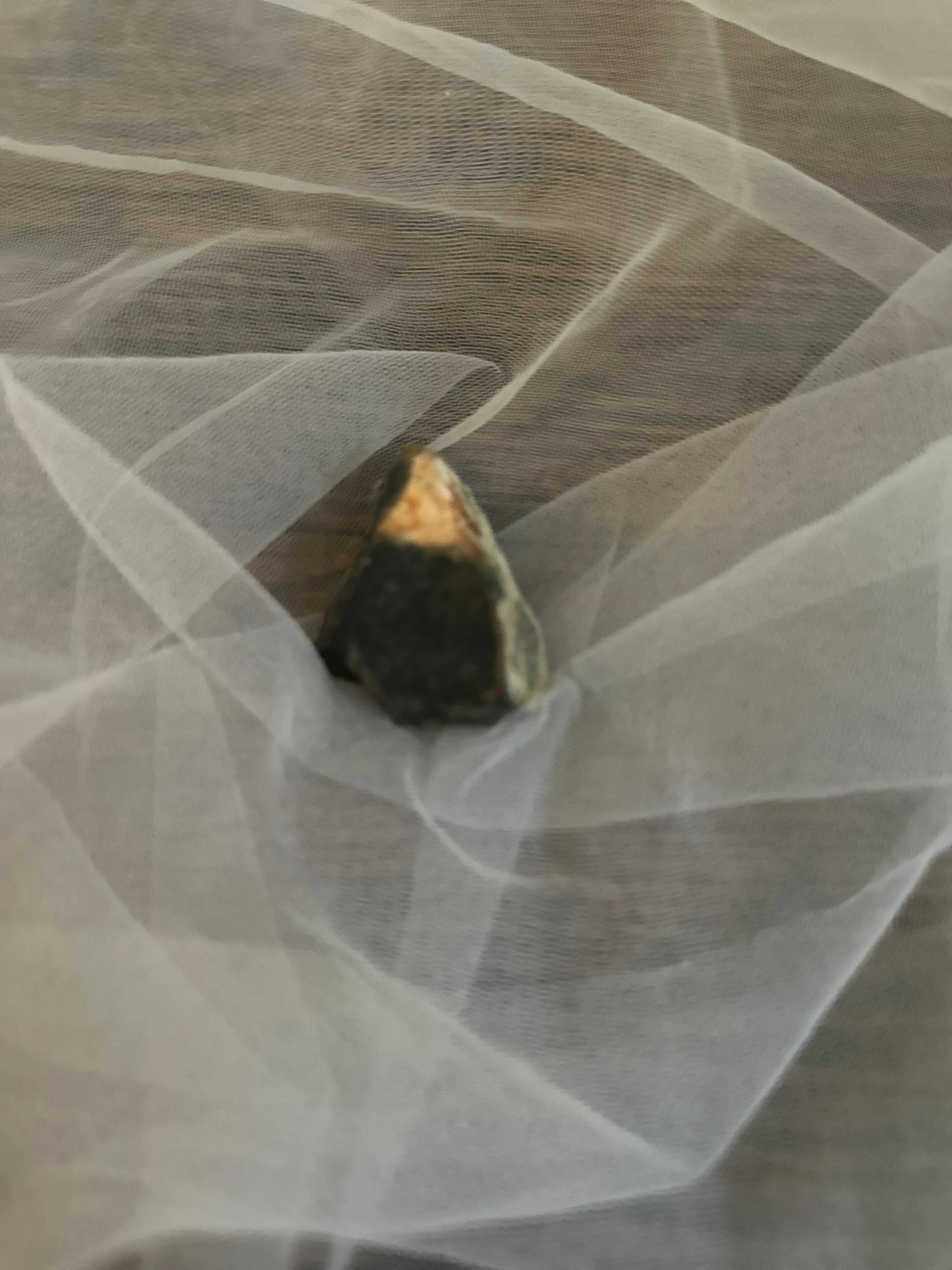 Mahogany Obsidian-2 AVAILABLE