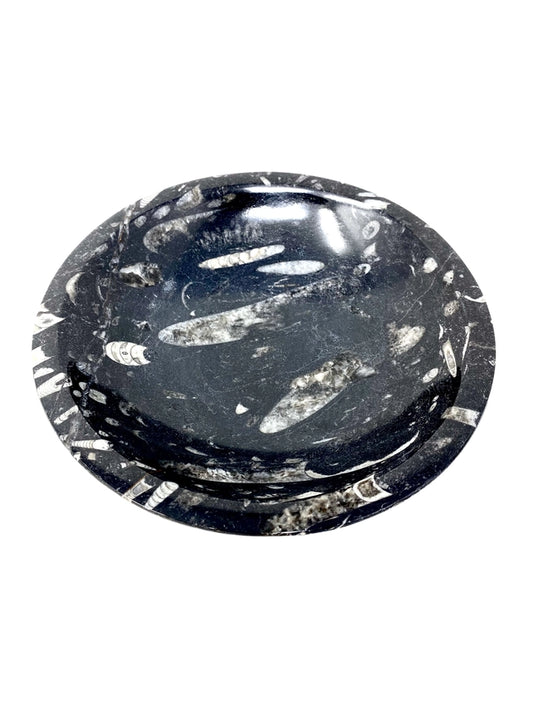 Orthoceras Fossil Decorative Bowl- 1 Available